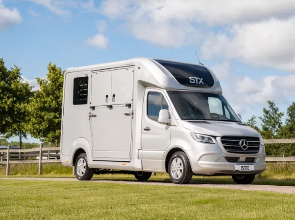 STX-2-horses-(mercedes-sprinter)